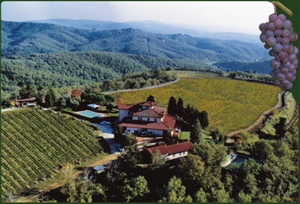 VenditaAziende AgricoleGaiole in Chianti